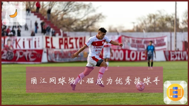 丽江网球场小猫成为优秀接球手