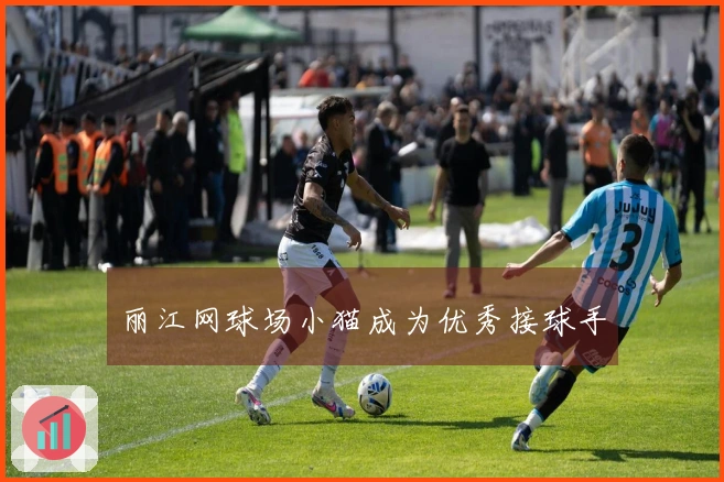 丽江网球场小猫成为优秀接球手